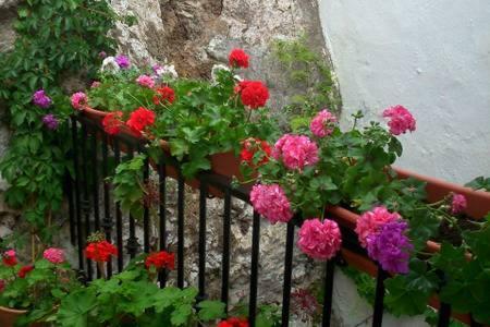 Casa Con Encanto, Escapadas Romanticas 萨各夫雷纳 外观 照片